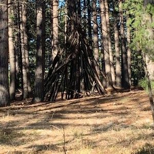 Meet your Posher, Tracy erl